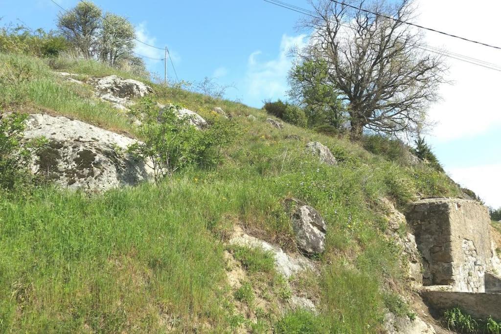 Gite Les Cadichons De La Grange Saint-Péray Exterior foto